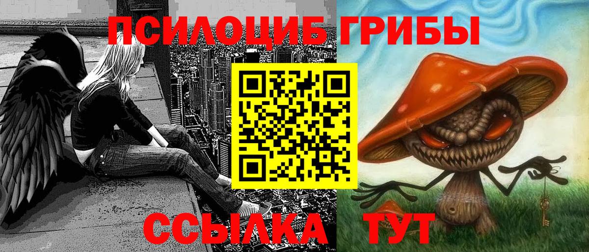 Галлюциногенные грибы мицелий  Галлюциногенные грибы Psilocybe  Коряжма  Вход с VPN 