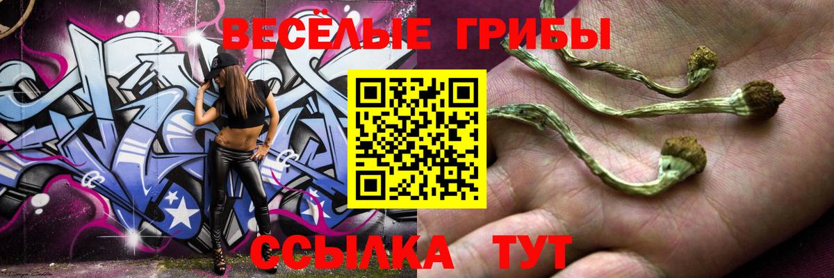Псилоцибиновые грибы прущие грибы Коряжма