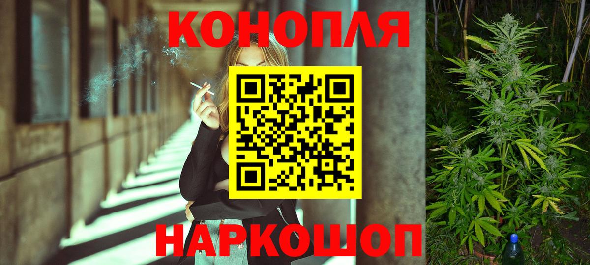 Шишки марихуана планчик  Шишки марихуана ГИДРОПОН  Марихуана ГИДРОПОН  Канабис OG Kush  Вход с VPN  Коряжма 